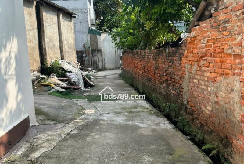Bán lô đất thổ cư 80m2 tại Tam Hưng Hà Nội gần trục kinh tế và nhiều dự án lớn